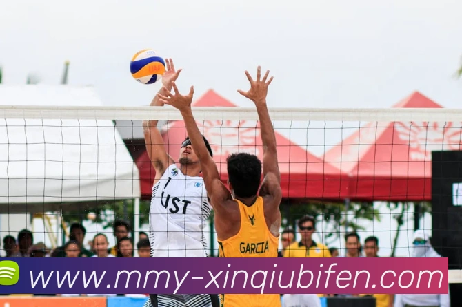 新球体育官网平台生态图