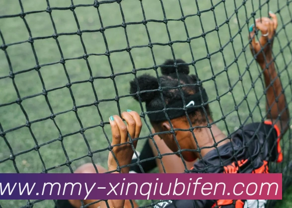 新球体育官网APP 封面图